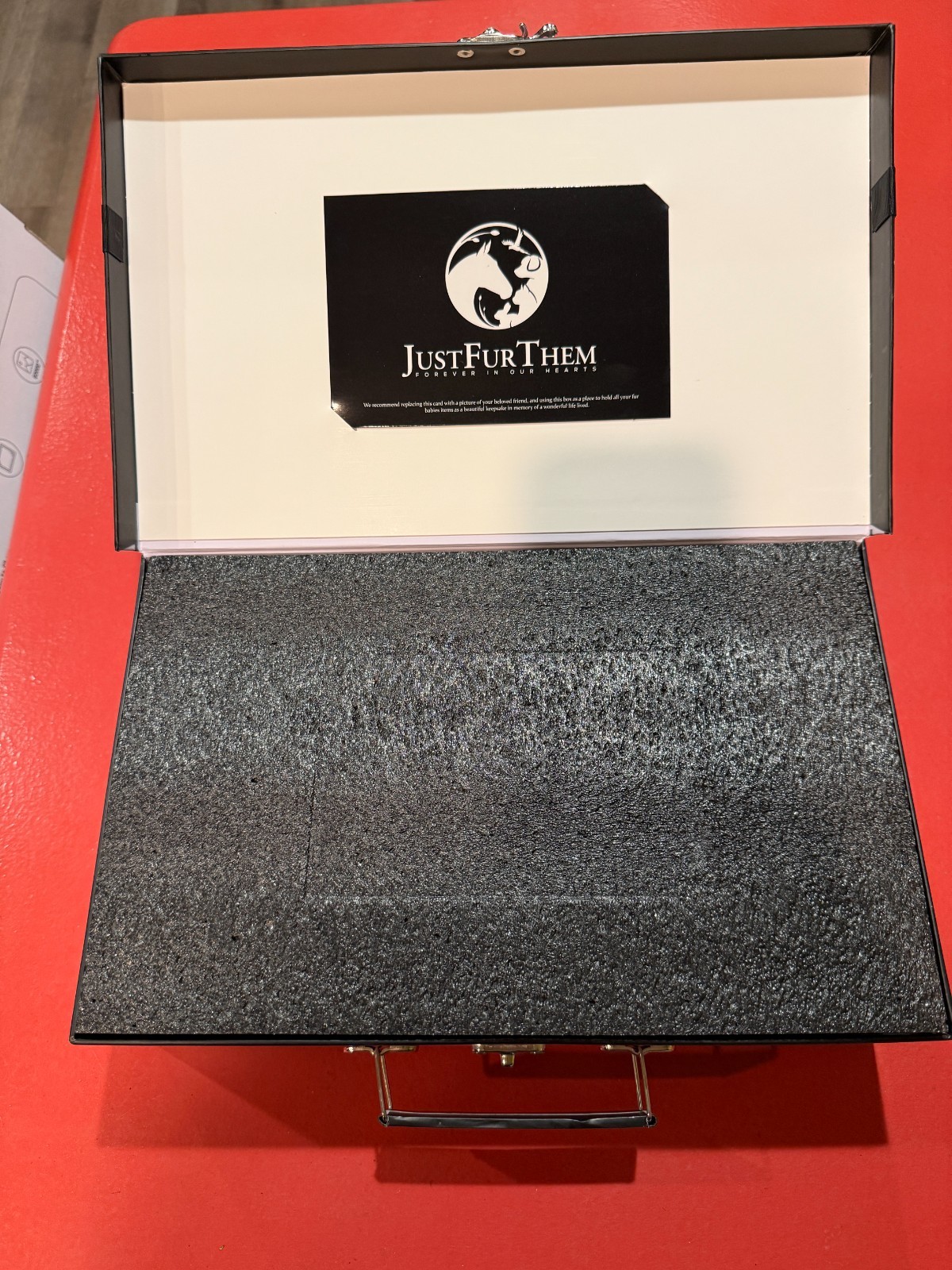 Pet Memorial Urn Photo Frame Dog Cat Ashes Remembrance Stone Just Fur Them Grave