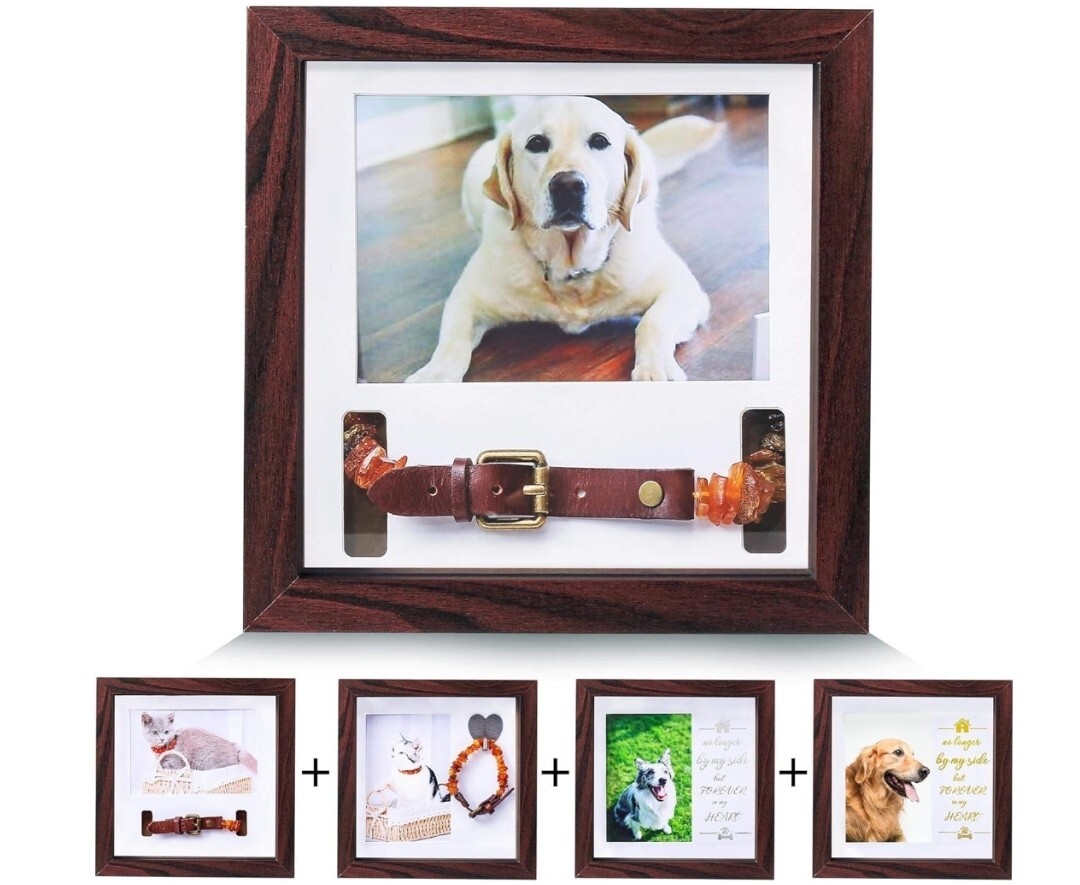 Pet Memorial Picture Frame Dog/Cat Memorial Sentiment Pet Collar Frame- Mahogany