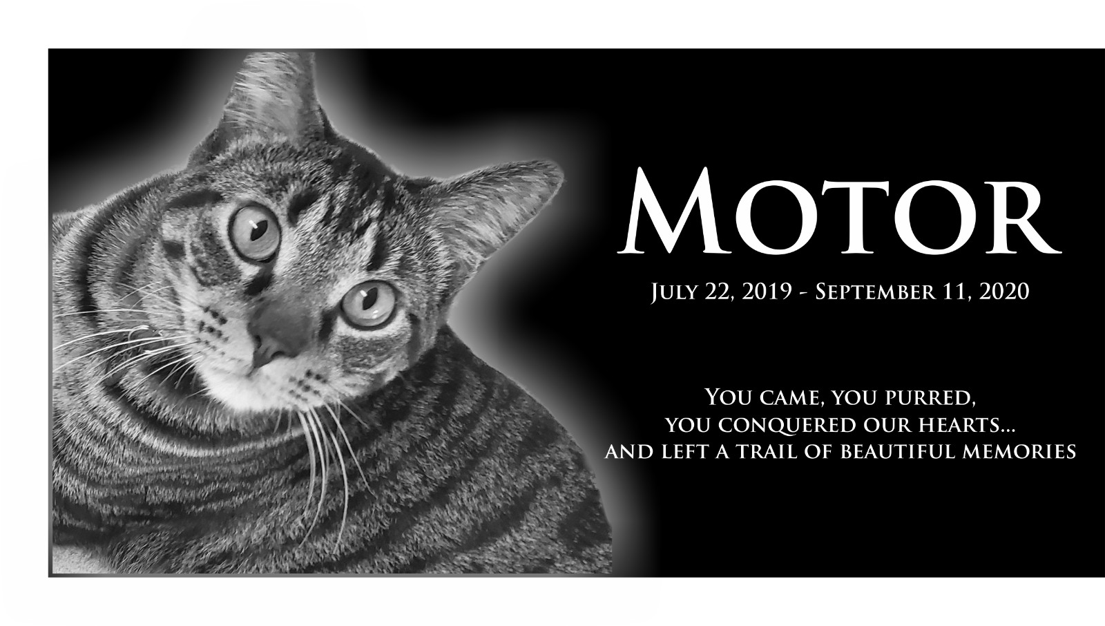 Personalized Pet Stone Memorial Grave Marker Granite Plaque Human headstone cat