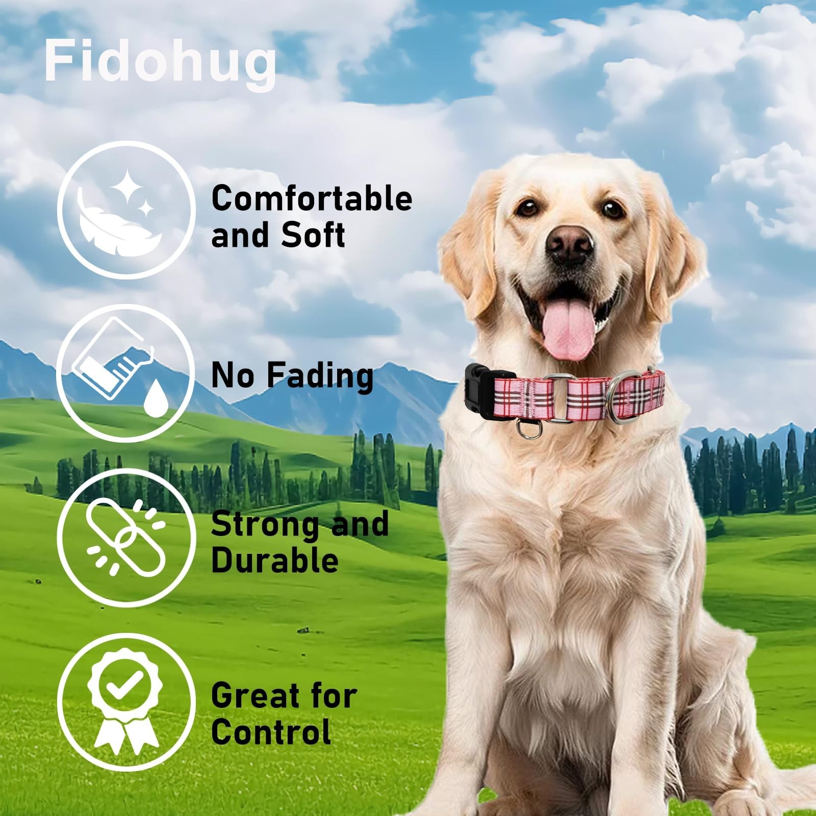 Martingale Collar with Quick Release Buckle Cute Girl Female Training Dog Col…