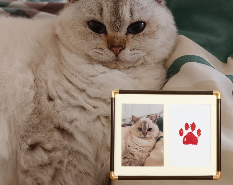 7/8/10″ Pet Paw Print Memorial Frame Cat Dog Inkless Pad Bronze Corner Display