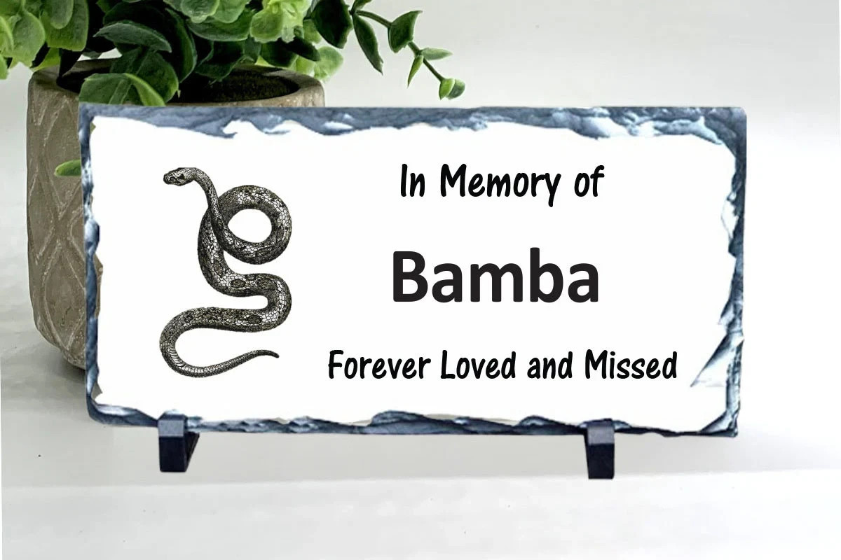 Snake Memorial – Personalized Pet Memorial Stone – Snake Loss sympathy Gift