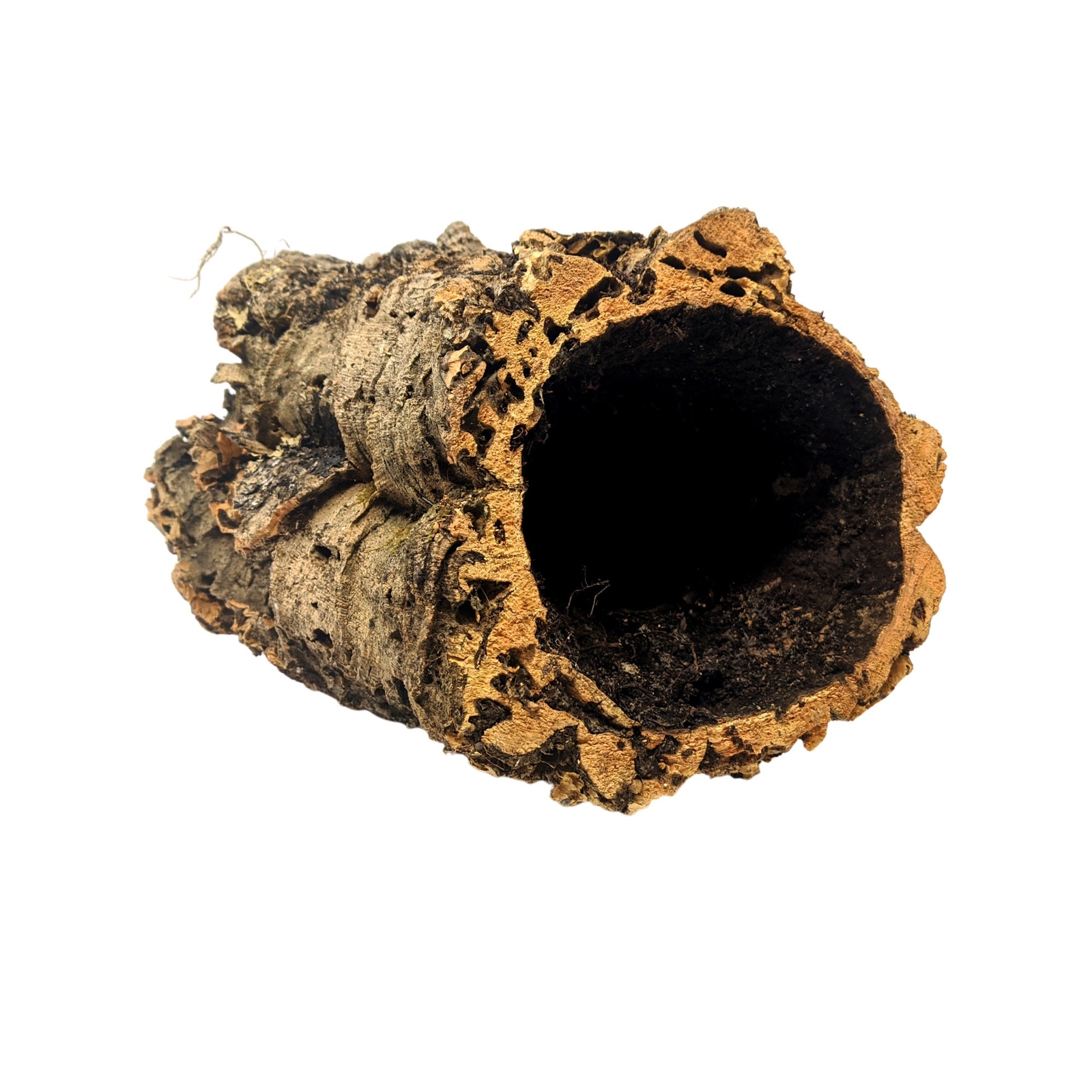 Large Round Virgin Cork Bark – for Orchids, Airplants, Reptiles, and Terrariums