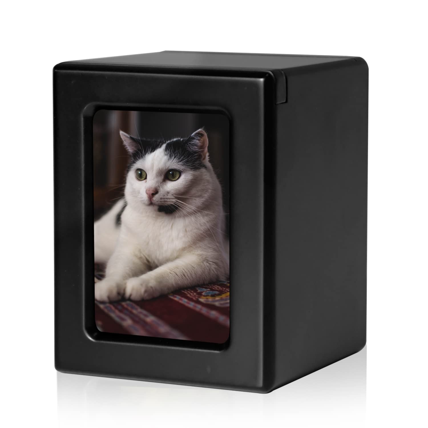 PCS Cat Urn for Ashes Photo Urn, BlackMedium Pet Cremation Box
