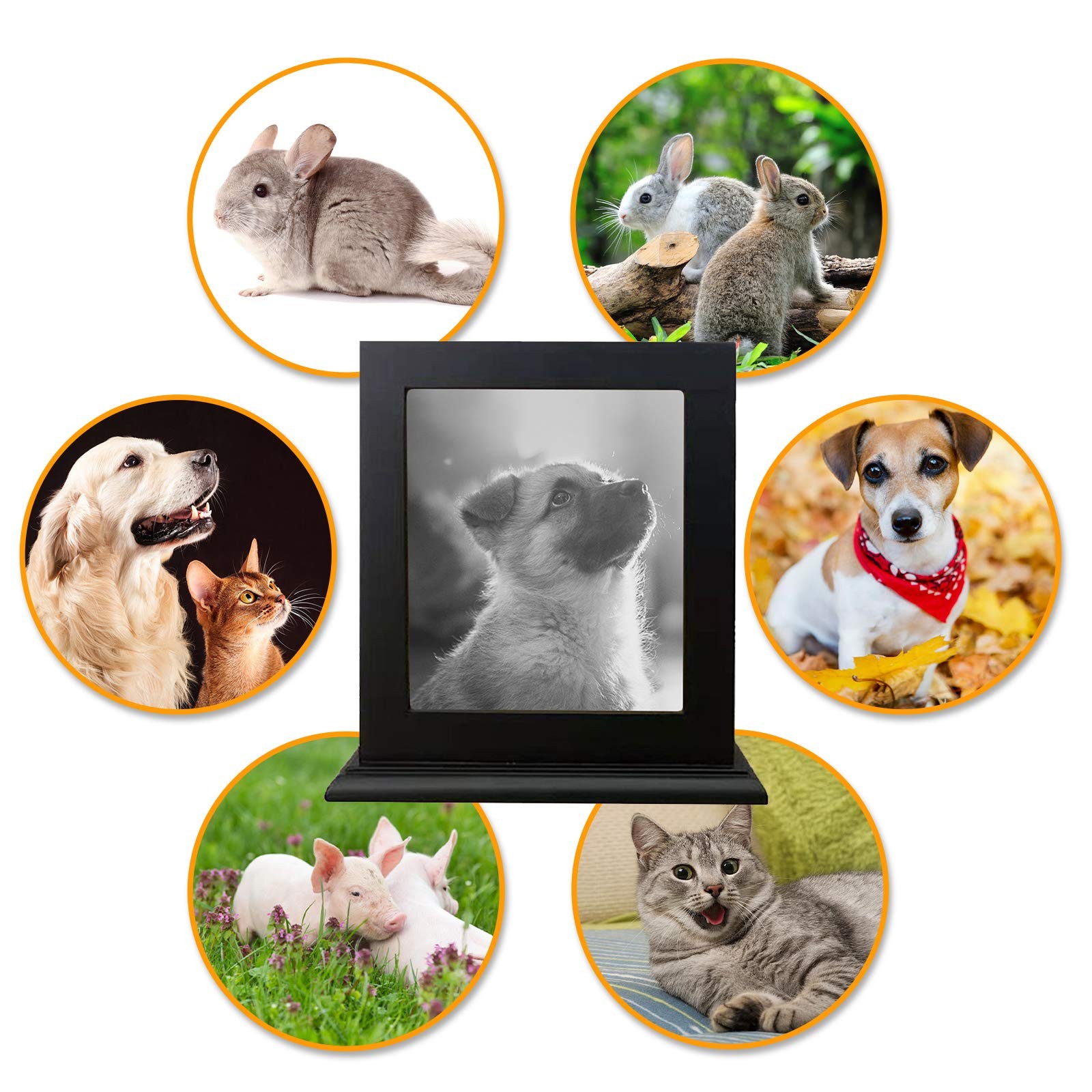 Pet Cremation Urn for Large Dogs, Ashes Photo Box, Wood Keepsake Memorial Urn