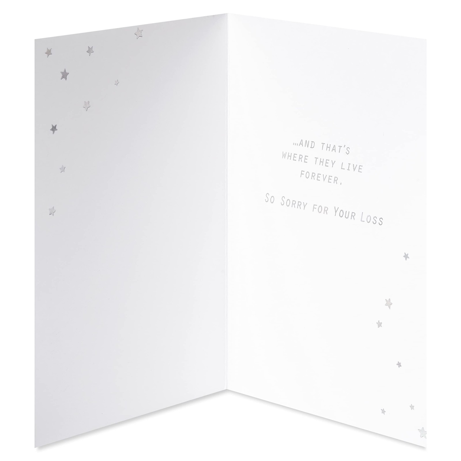 Pet Condolence Card for Cat Lovers, Memorial Keepsake, Grieving Gift, Beige