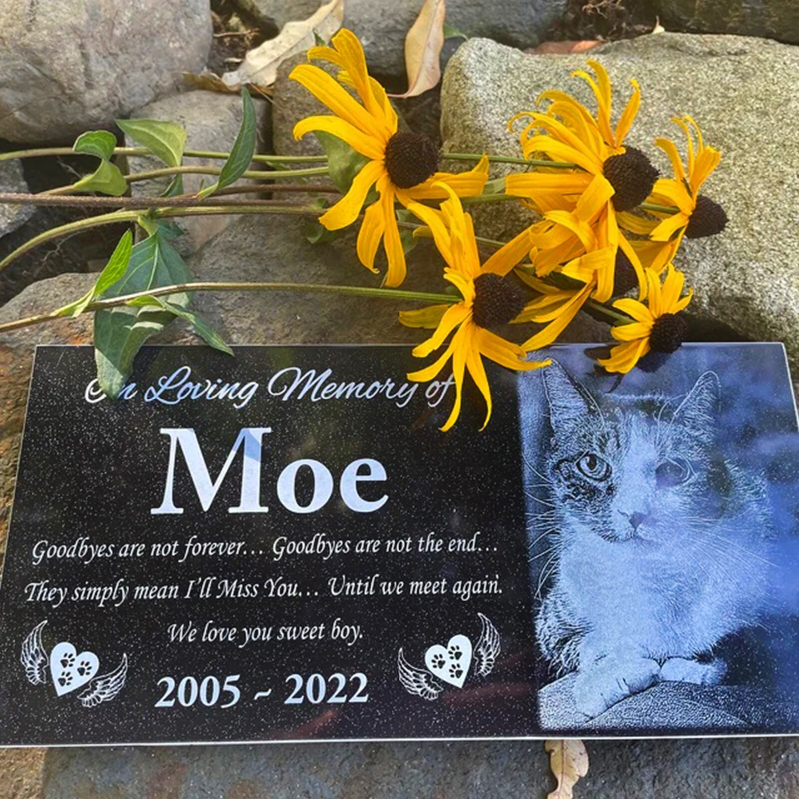 6×4 Memorial for Dog, cat, horse, chicken