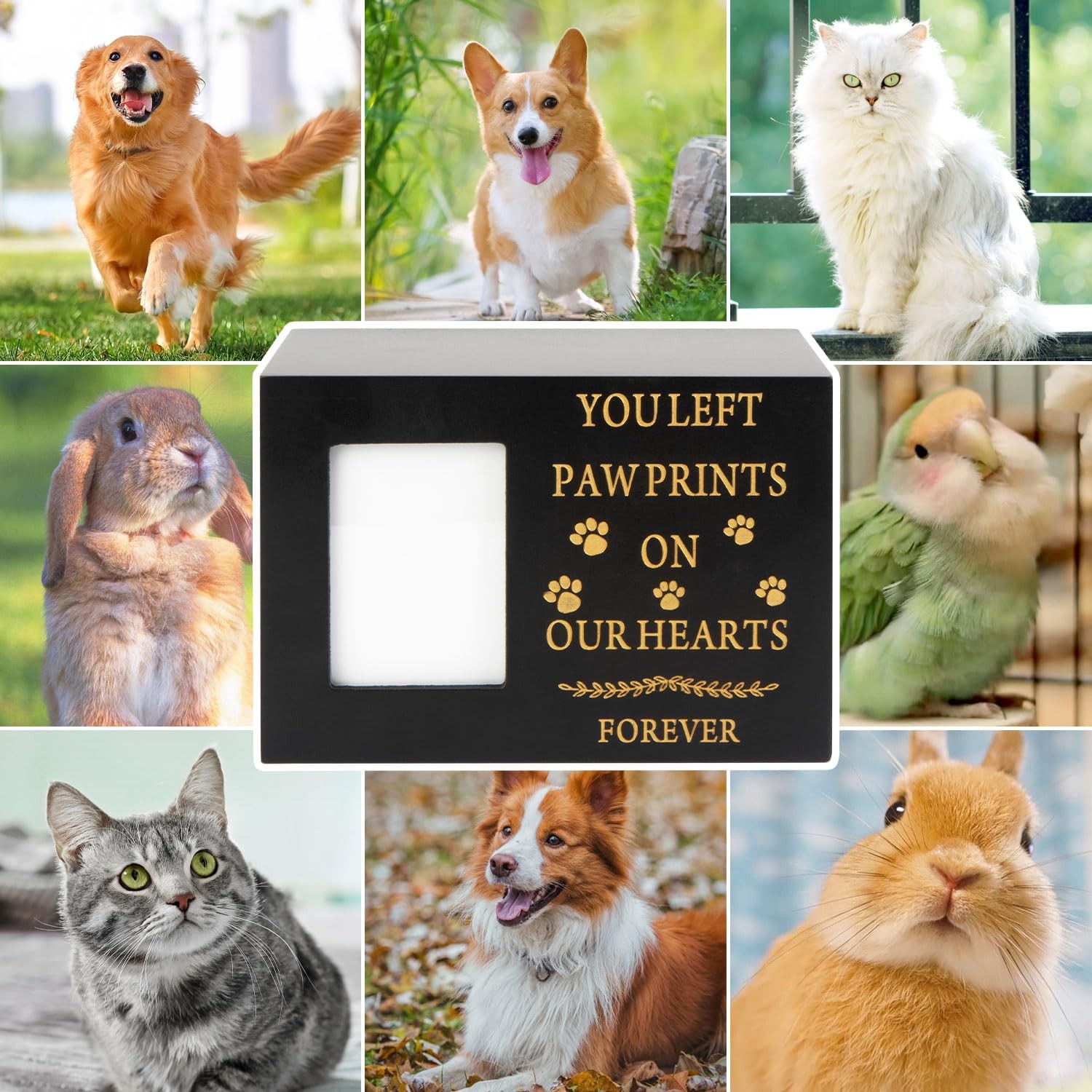Mrouen Pet Urns For Dog Or Cat Ashes Wooden Pet Memorial Urns Photo Frame Pet