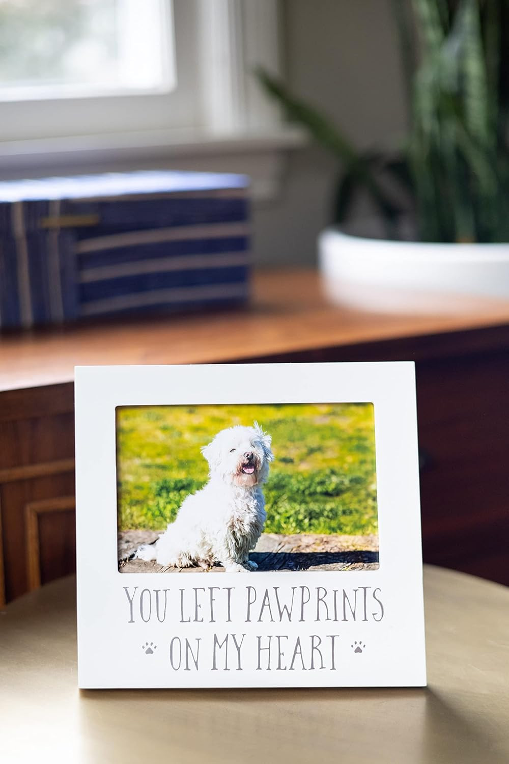 “You Left Pawprints on My Heart” Pet Memorial Picture Frame, Dog or Cat Sympathy