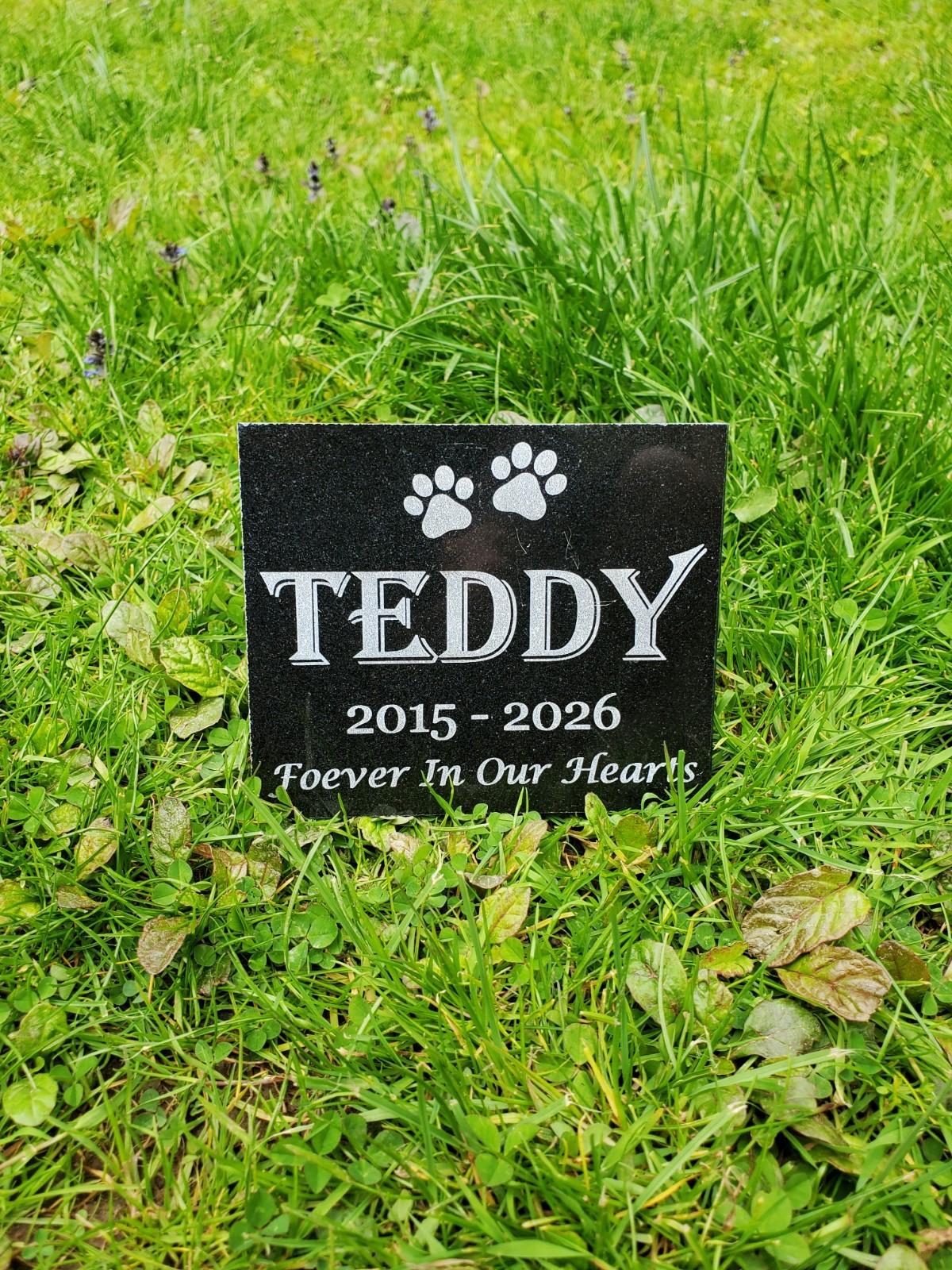 Grave Marker Headstone Garden Pet Memorial Burial Stone Granite Custom Plaque A8