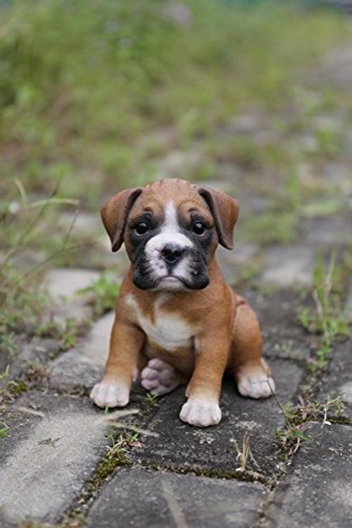 Gift Ltd Boxer Puppy Statue