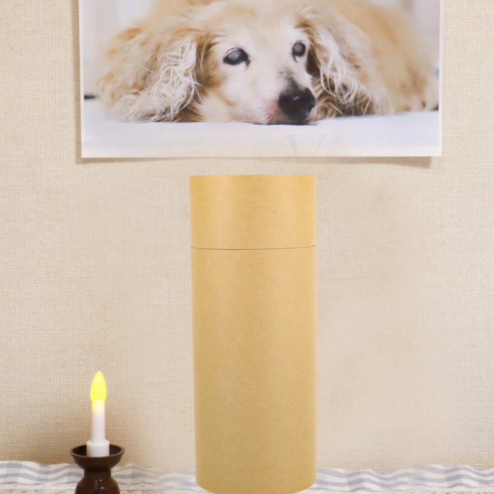 Pet Ashes Keepsake Box Animals Bottle Storage Urn Cat Memorial Present