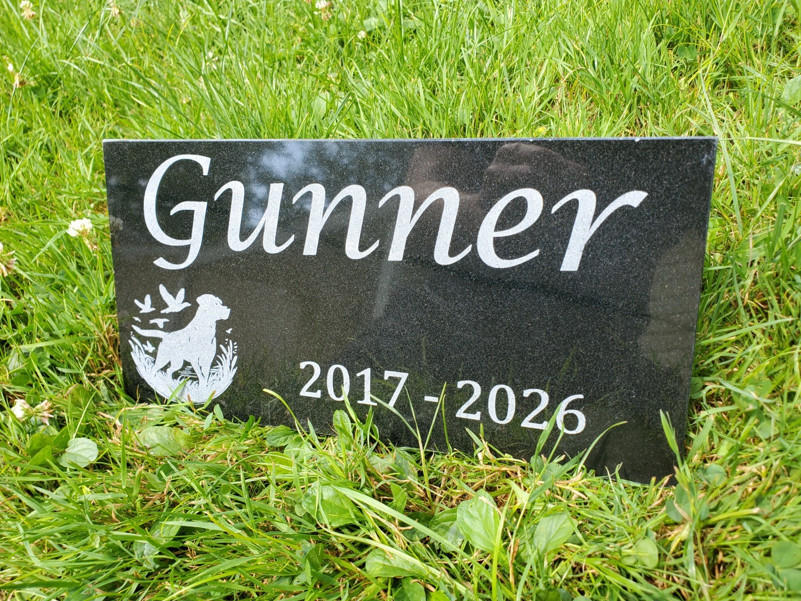 Hunting Dog Grave Marker Headstone Garden Pet Loss Memorial Burial Stone t25