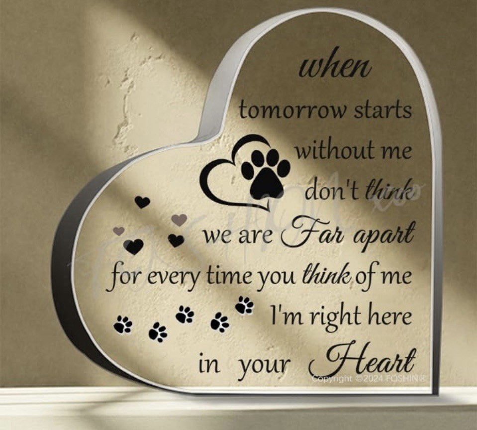 PET Memorial Sympathy Gift for Loss Bereavement Crystal Acrylic Heart 6x6x.5”.N