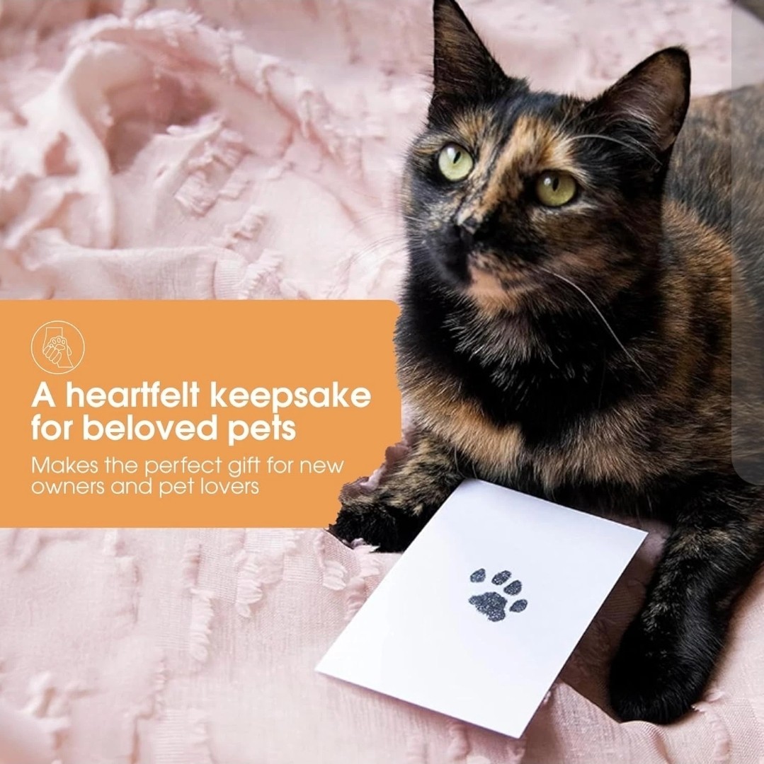 Paw Print Ink Pad Kit for Dogs Cats DIY Keepsake Impression Set 4 Card Black Ink