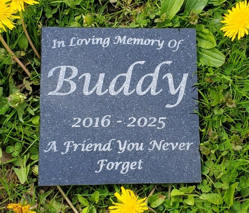 Pet Memorial Granite Stone Engraved Grave Marker Headstone Garden Plaque d6