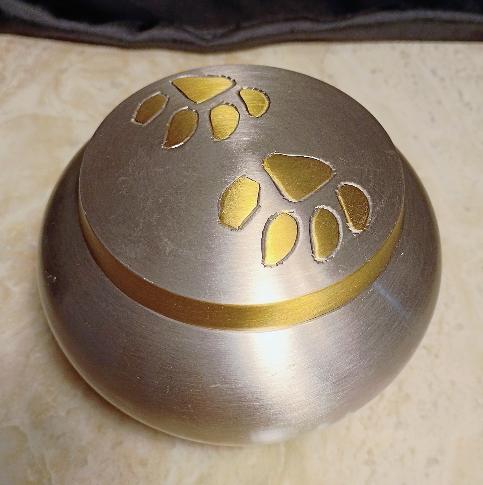 Steel & Brass Pawprint Design Pet Ashes Urn #2- Small, Heavy, Secure, Beautiful