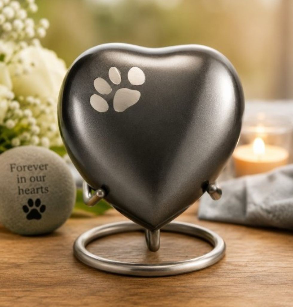 Heart Keepsake Pet Urn Paw Print Brass Memorial for Dog or Cat Ashes 3 Cu In