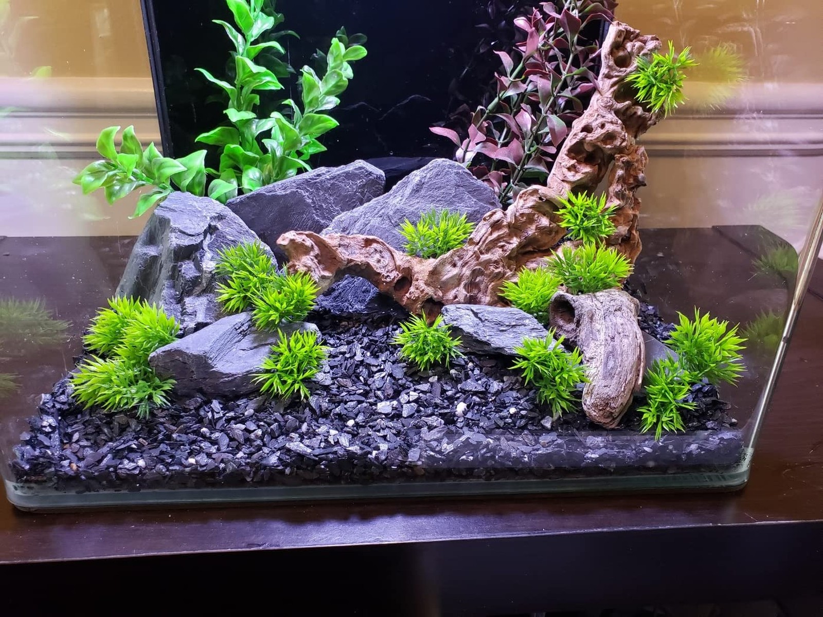 Natural Slate Stone 5 to 7 Inches – USA Sourced and Packaged for Aquascaping …