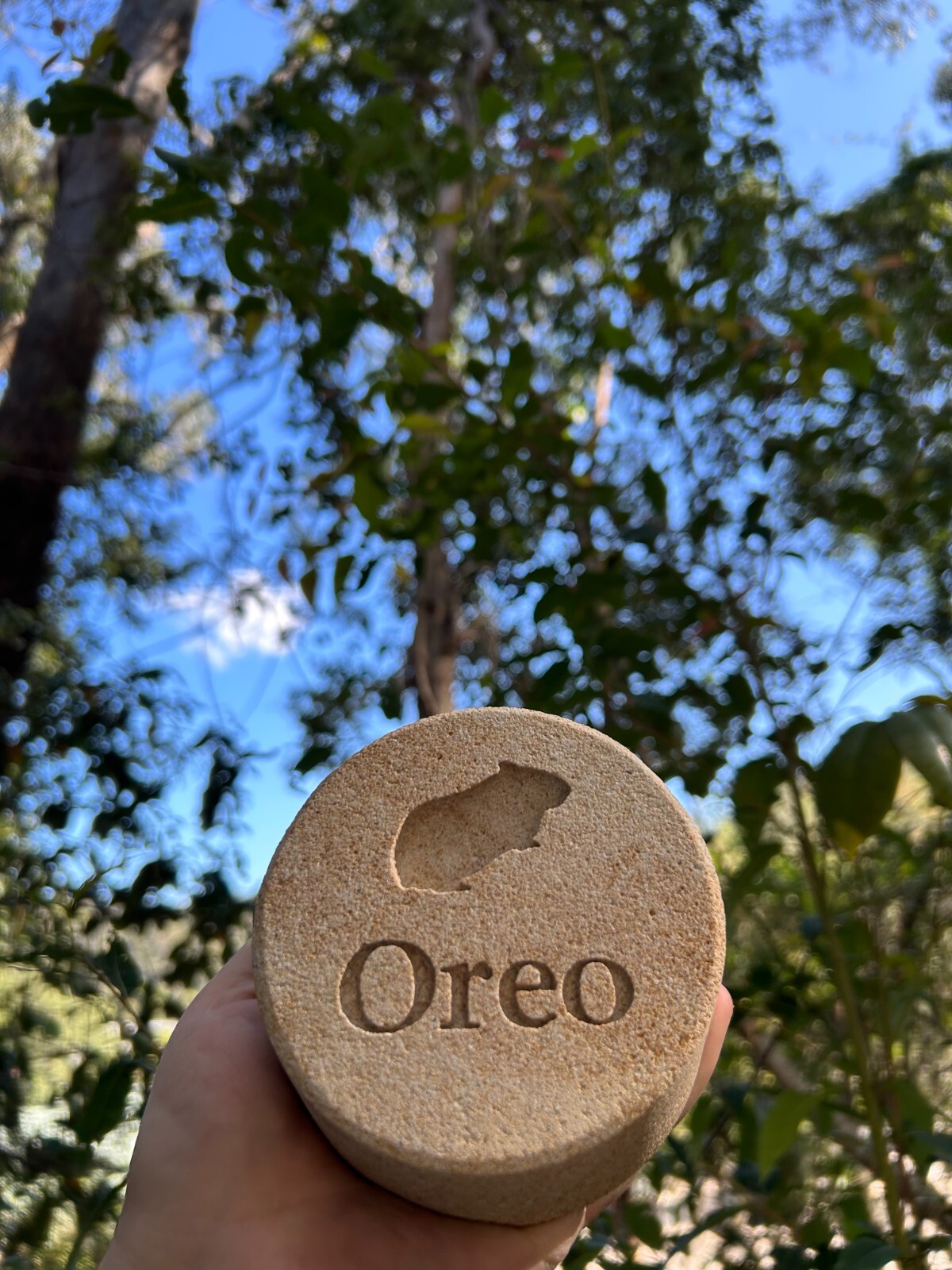 Memorial Guinea Pig Keepsake – Sandstone – Personalised