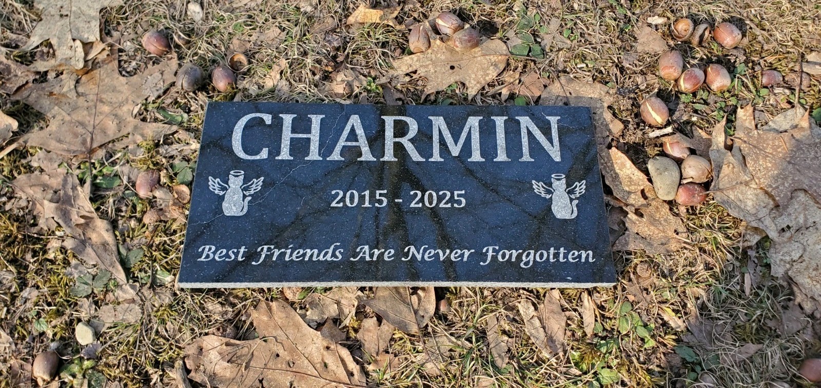 Cat Pet Memorial Granite Stone Engraved Grave Marker Headstone Garden Plaque t8