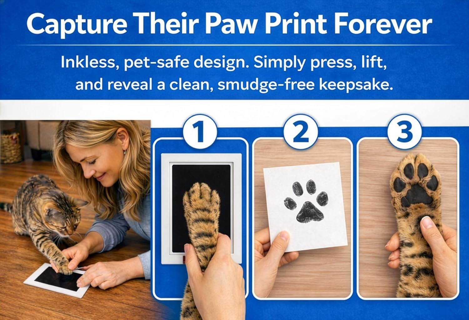 Cat Urn for Ashes, 4 Customizable Displays with Paw Print Ink Kit, 6.5X6.5X4.0,