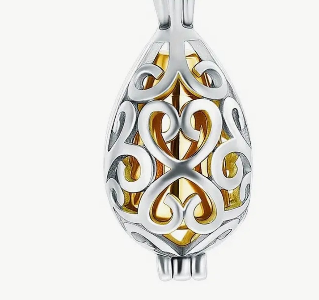 Pet Cremation Ash Holder Pendant Necklace Memorial Urn, Silver and Gold Tone