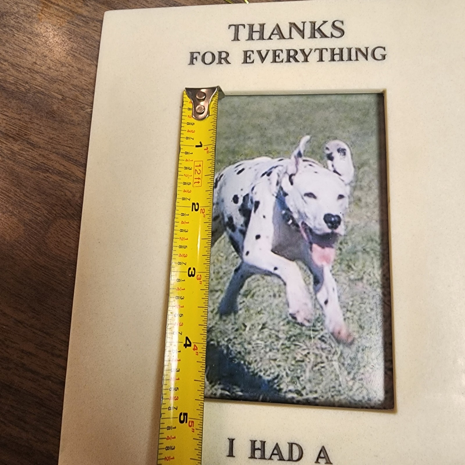 NWT Pet Memorial Photo Frame Marble Resin 6.25x8in.