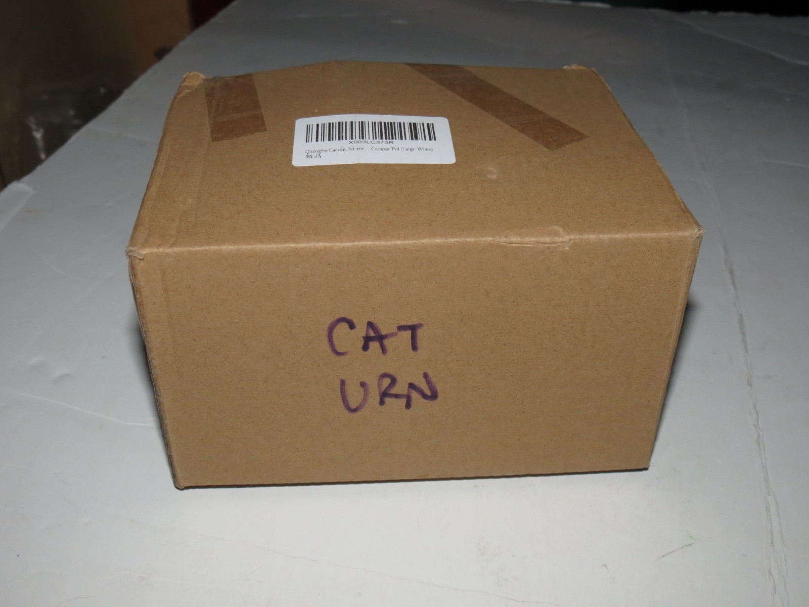 Ceramics Pet Urn Pot Funeral Cat Memorial Large Ash Storage White Squat