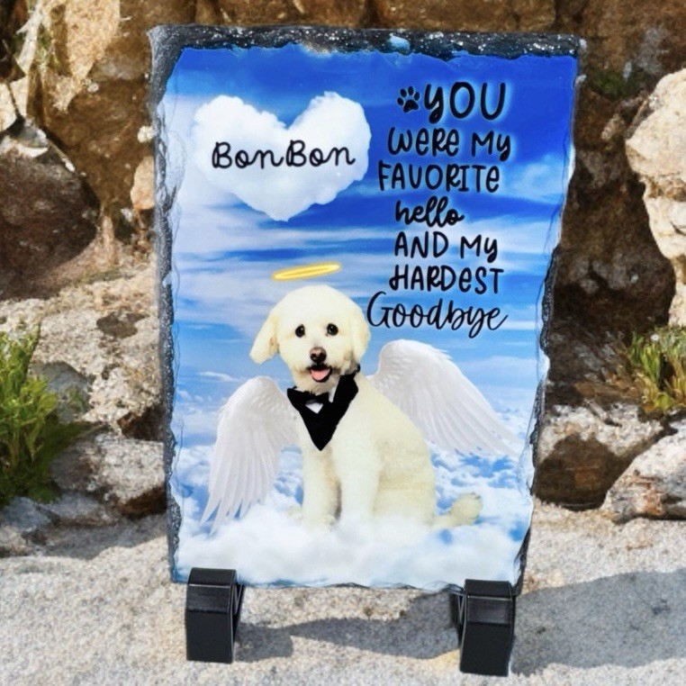 Custom in loving memory dog, cat stone with photo, Memorial gifts for pet loss