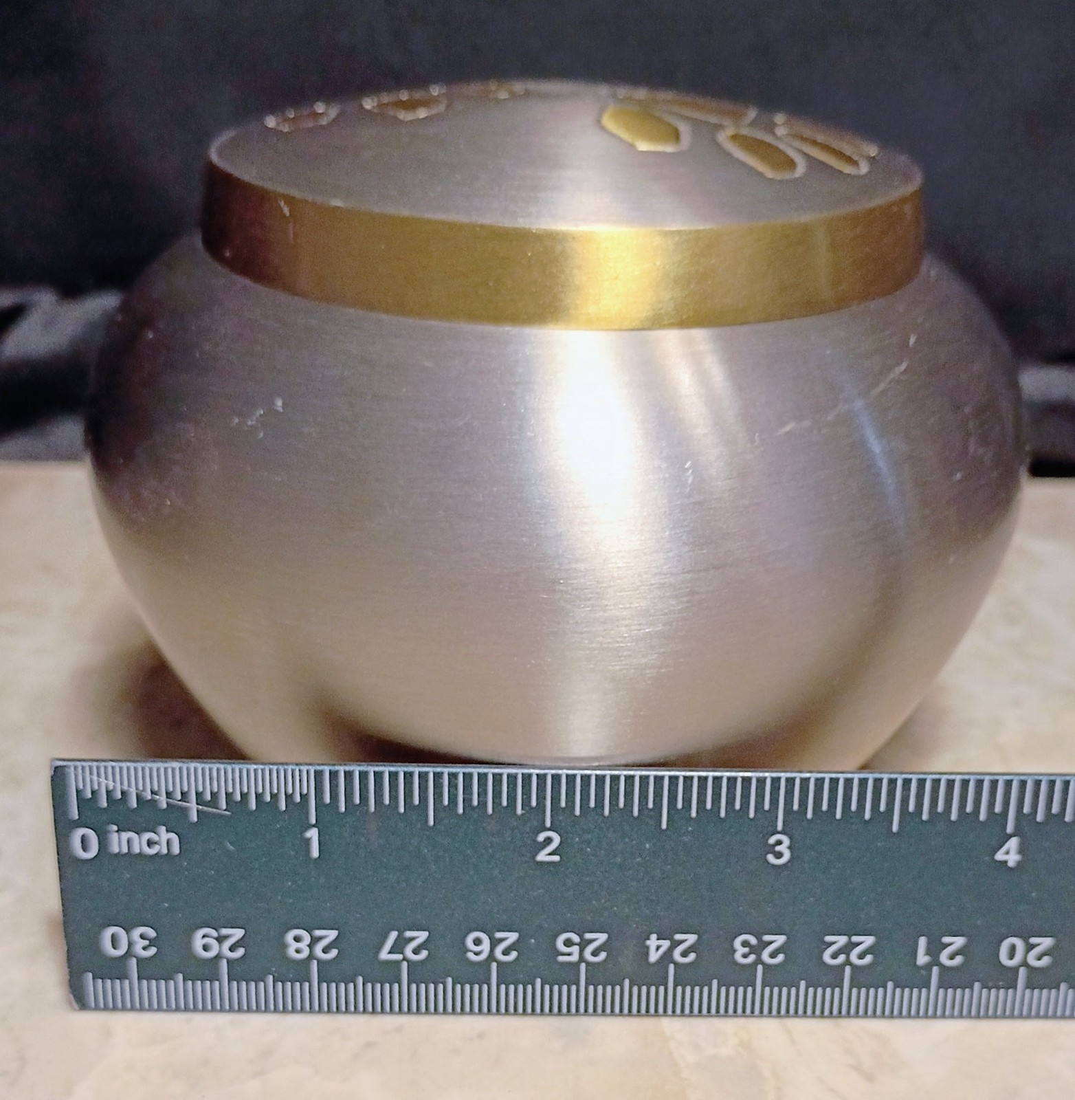 Steel & Brass Pawprint Design Pet Ashes Urn #2- Small, Heavy, Secure, Beautiful
