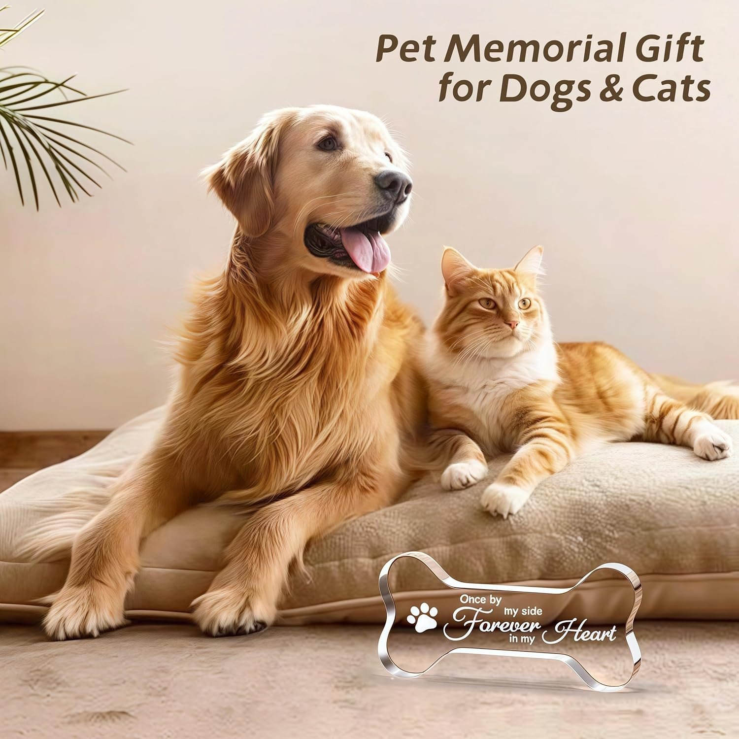 Pet Memorial Ornament Remembrance Gifts: Loss of Dog Cat Sympathy Gift Crystal