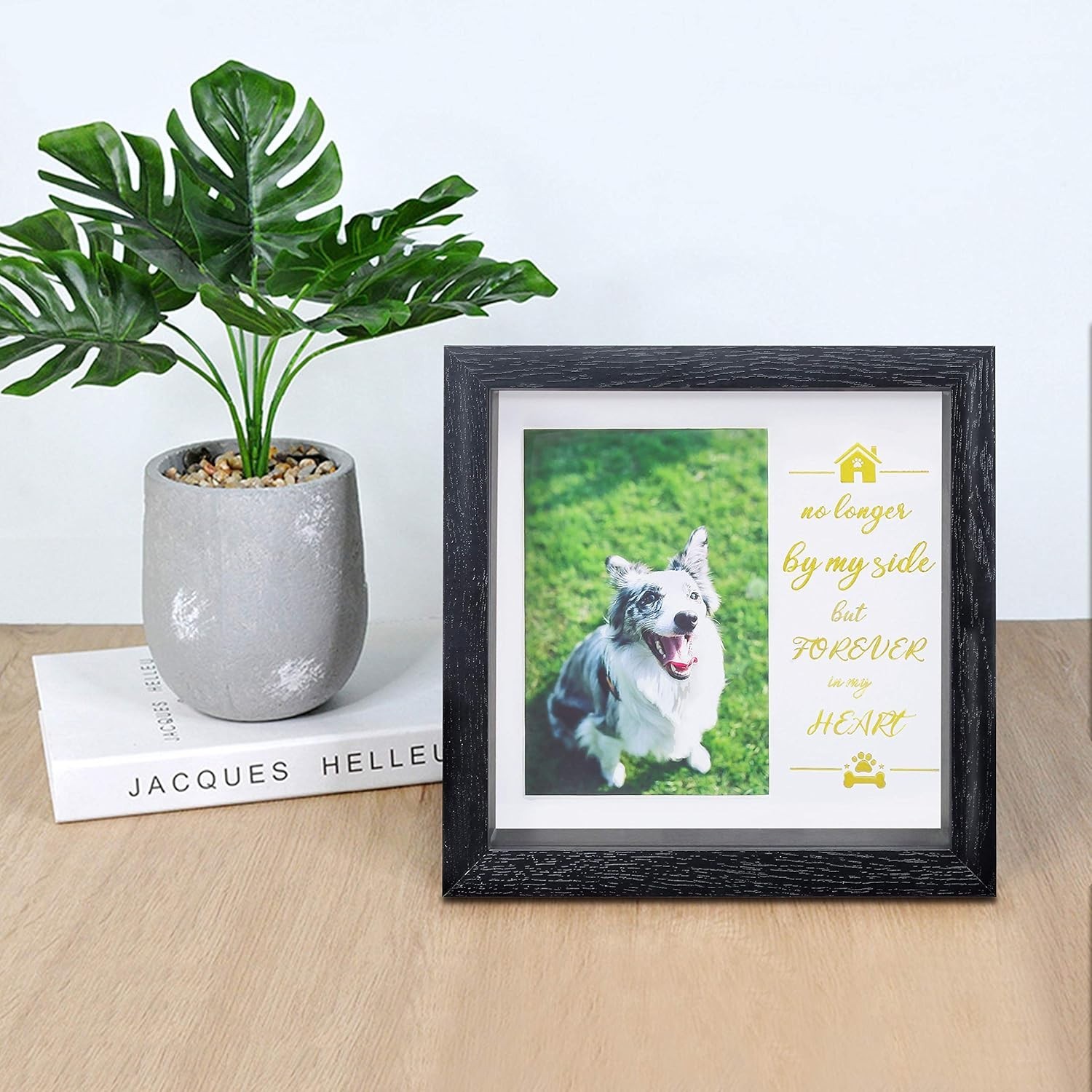 Durable Pet Collar Keepsake Frame – 9-Inch Memorial Tribute for Beloved Pets