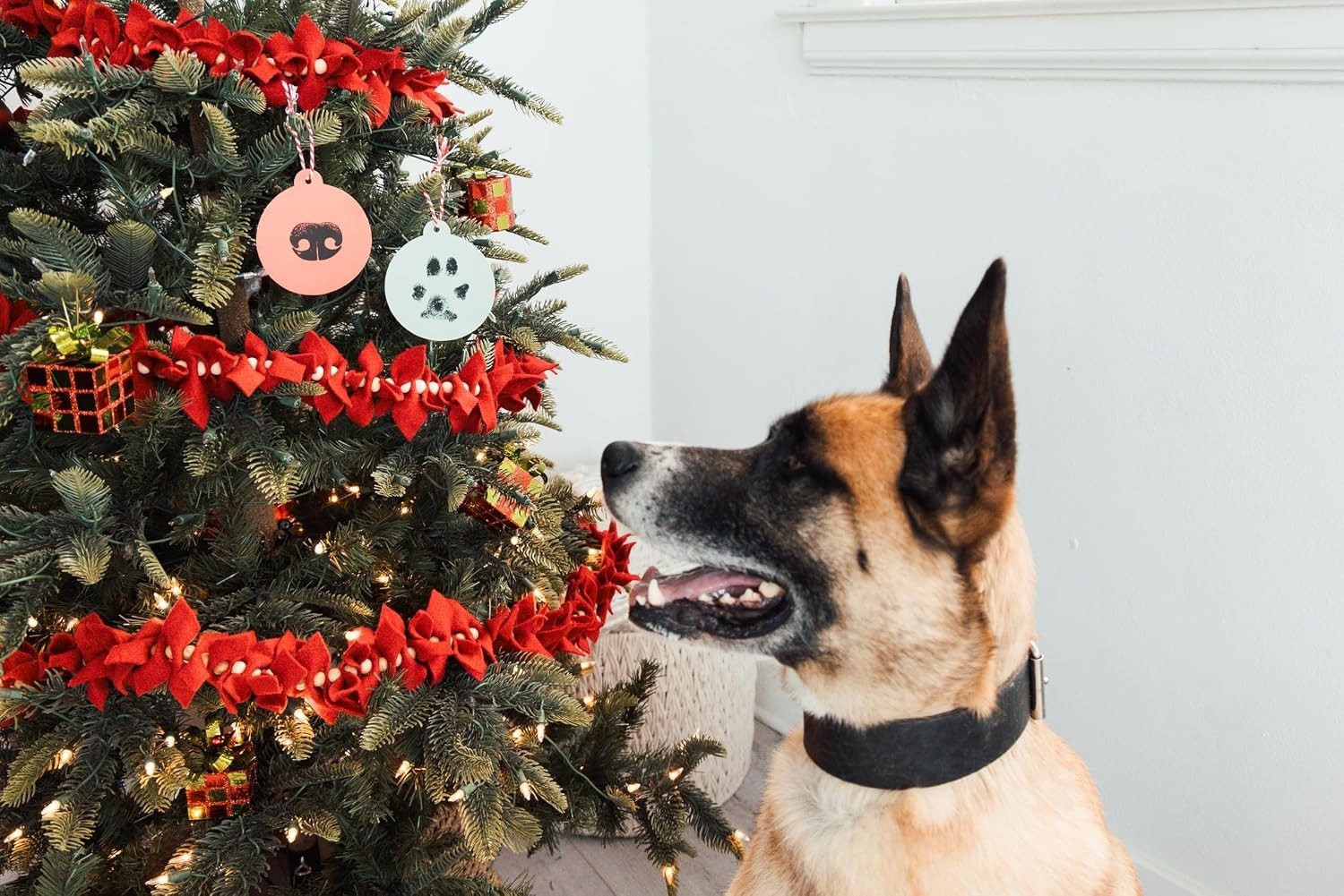 Mess-Free Pet Paw Impression Kit with Non-Toxic Ink Pad for Christmas