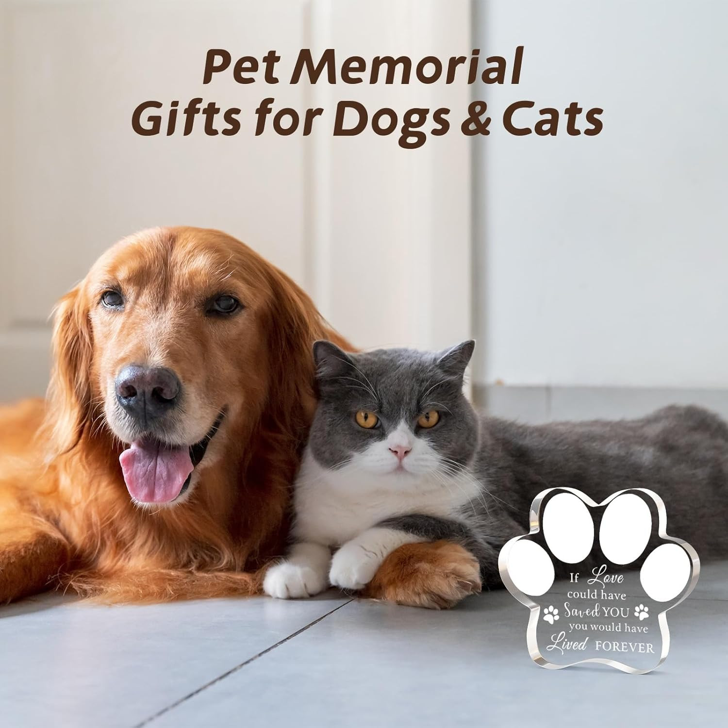 Pet Memorial Ornament Remembrance Gifts: Loss of Dog Cat Sympathy Gift Crystal C