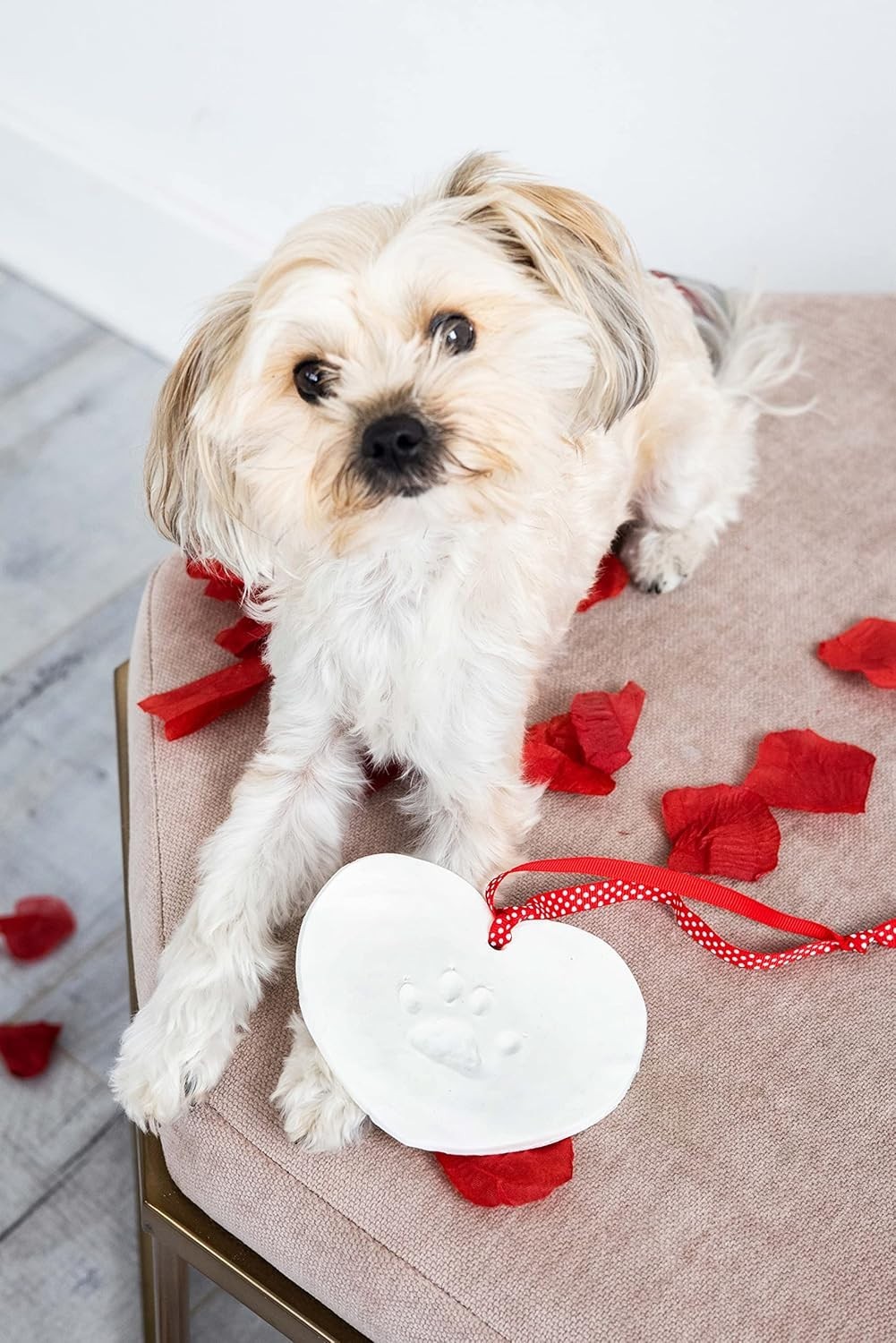 DIY Pet Paw Print Keepsake – Heart-Shaped Clay Impression Kit for Pets