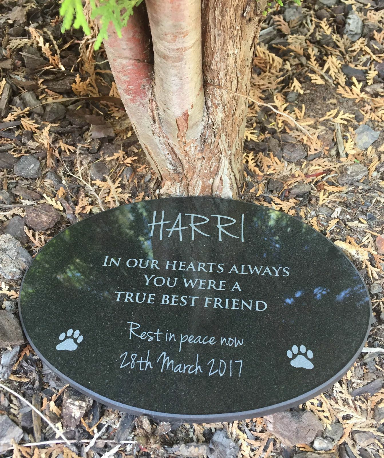 Pet Memorial Granite Plaque Oval personalised engraved