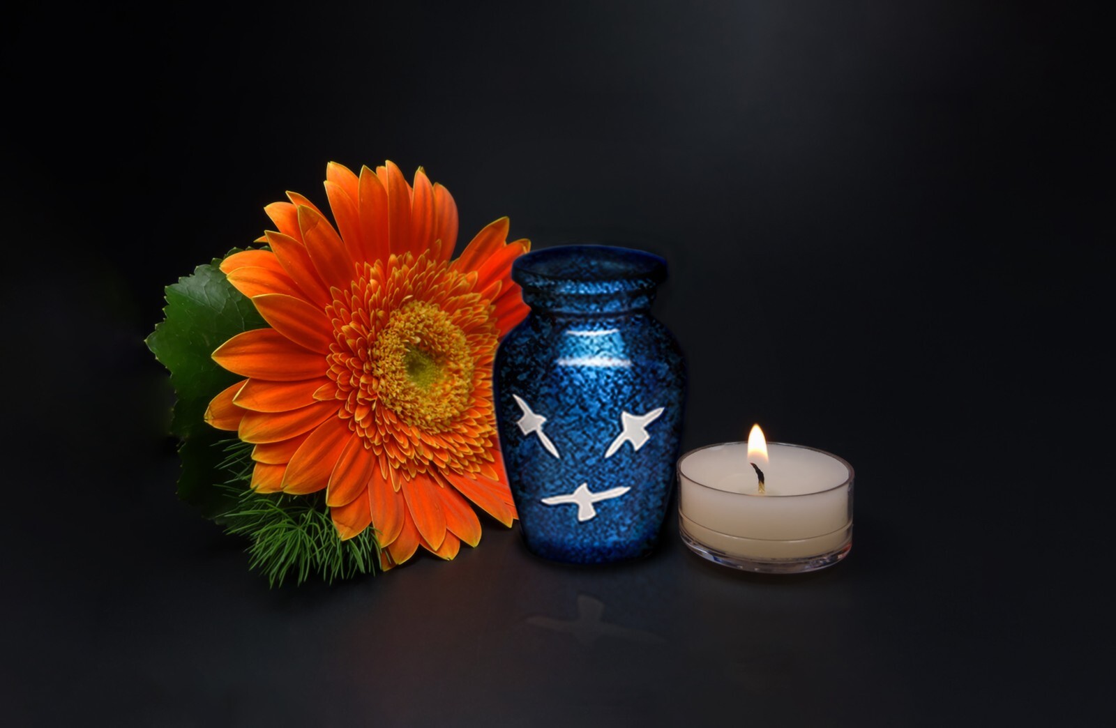 Pet Cremation Urn, Small urn for Animal Ashes, Blue White Doves