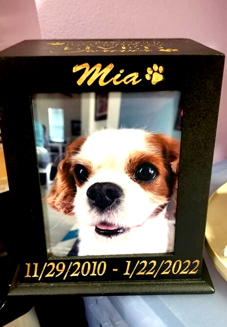 Pet Urn Memorial Custom Engraved | Cat & Dog Wood Cremation Box + Pet Loss Quote