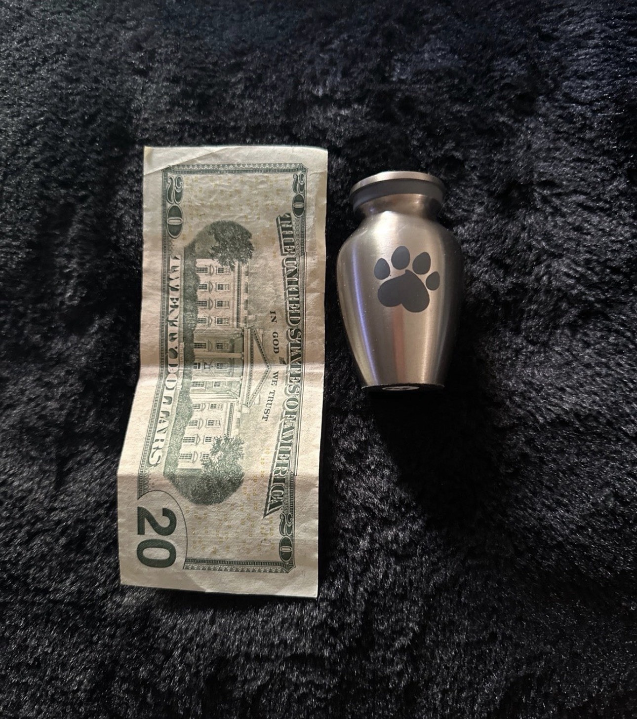 Paw Engraved Pet Stainless Steel Urn for Small Dogs & Cats Ashes + Box