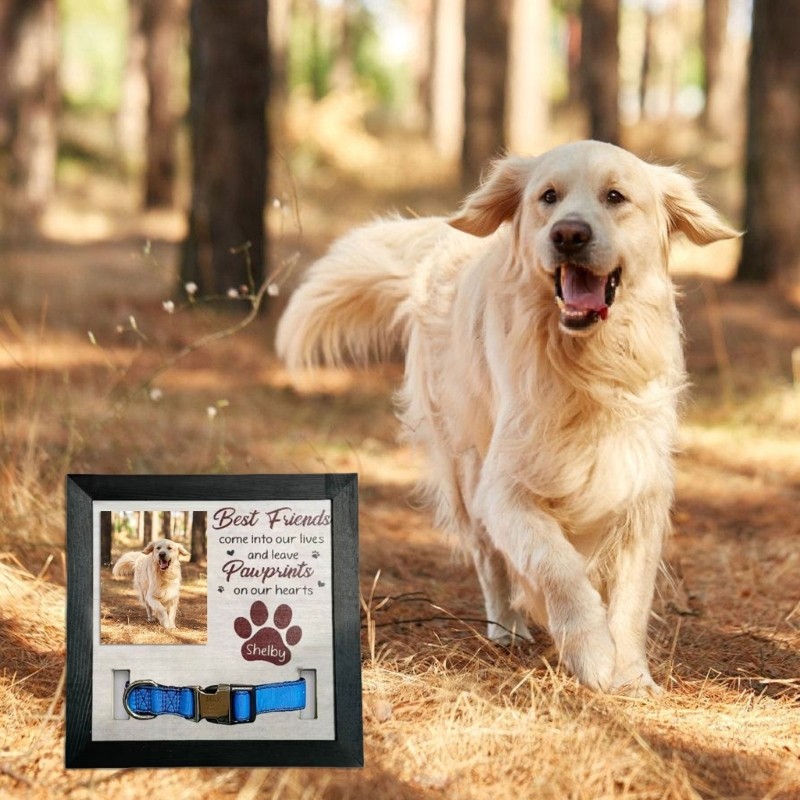 Pet Memorial Frame 9x9Inch for Dog Cats Photo Display with Collar Holder Gift