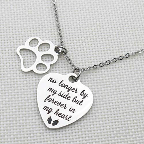 Pet Memorial Gift No Longer by My Side But Forever in My Heart Engraved Necklace