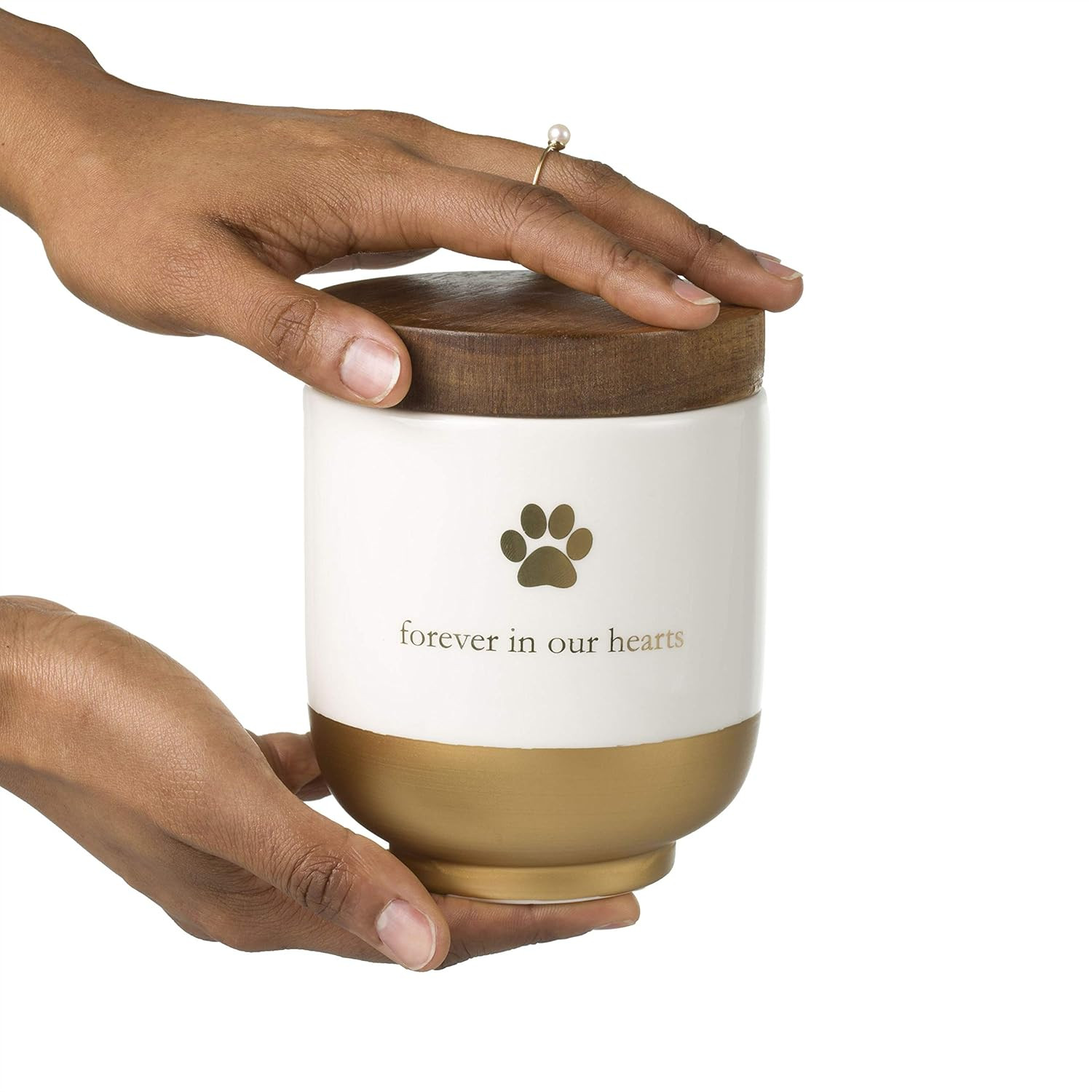 Pet Ceramic Forever in Our Hearts Urn, Pet Memorial, Dog or Cat Keepsake Urn, Ra