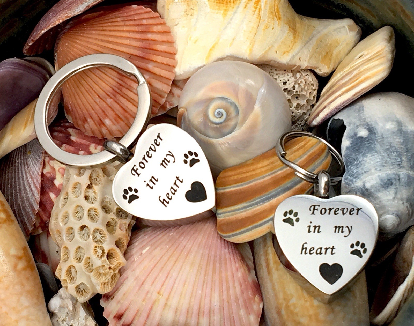 Pet Cremation Necklace Pendant Urn Paw Print Dog Cat Forever In My Heart Always