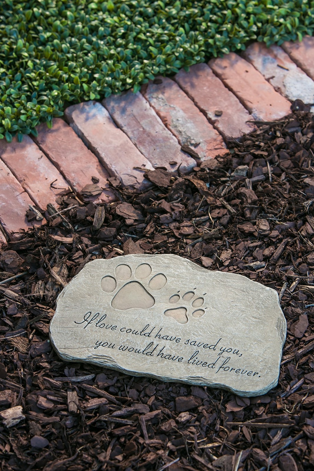 Evergreen Garden Pet Paw Print If Love Could Have Saved You Garden Memorial S…