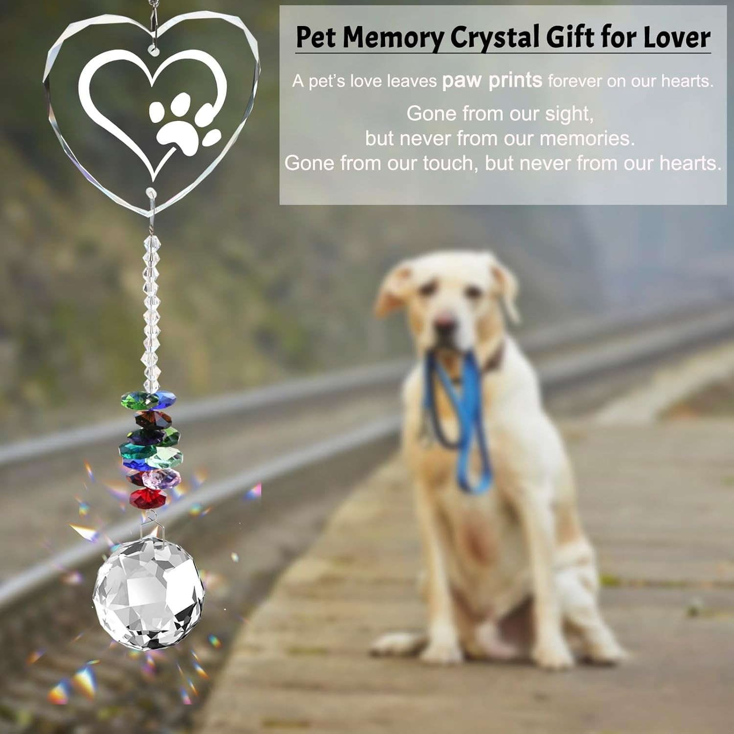 Pet Memorial Gifts Crystal Suncatcher,Dog Memorial Gifts for Loss of Dog,Loss of