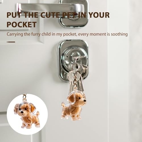 Pet Memorial Keychain Refillable Hair Locket Charm for Grieving or Celebrating