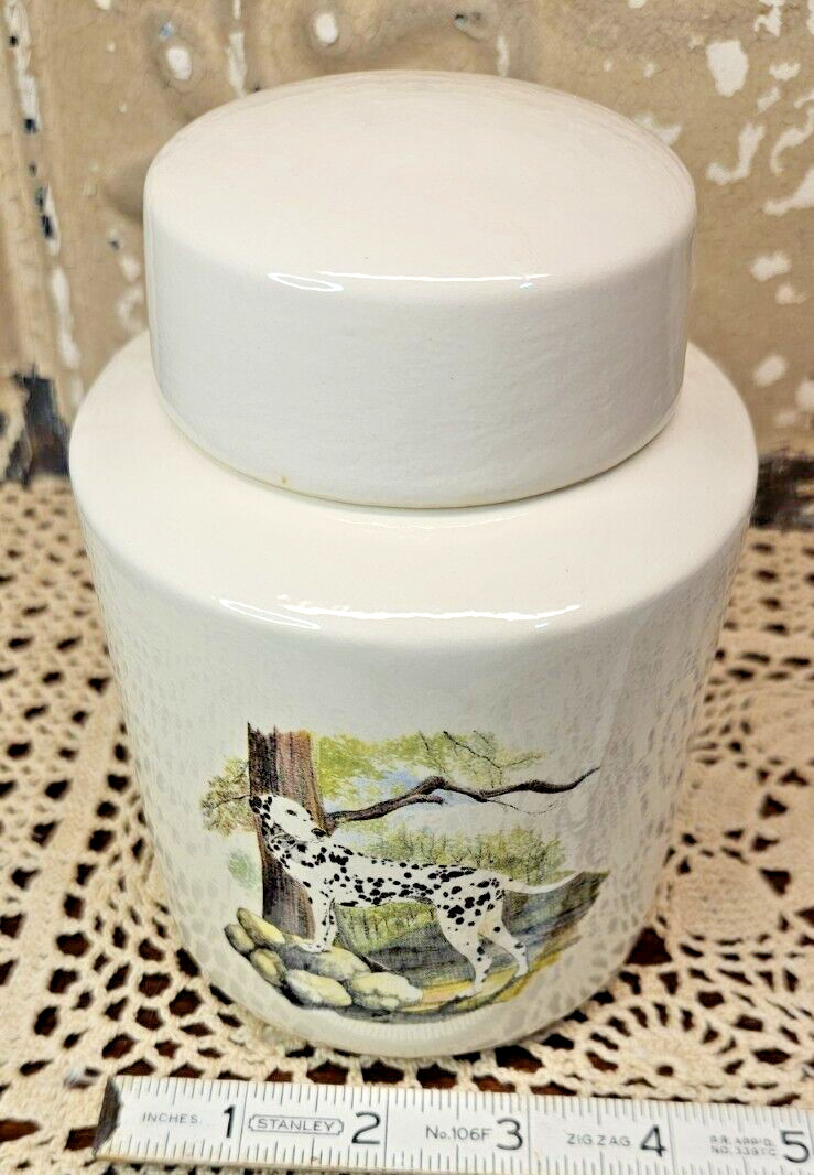 Dalmatian Dog Ceramic Pet Urn Pictorial Memorial Jar w/ Lid