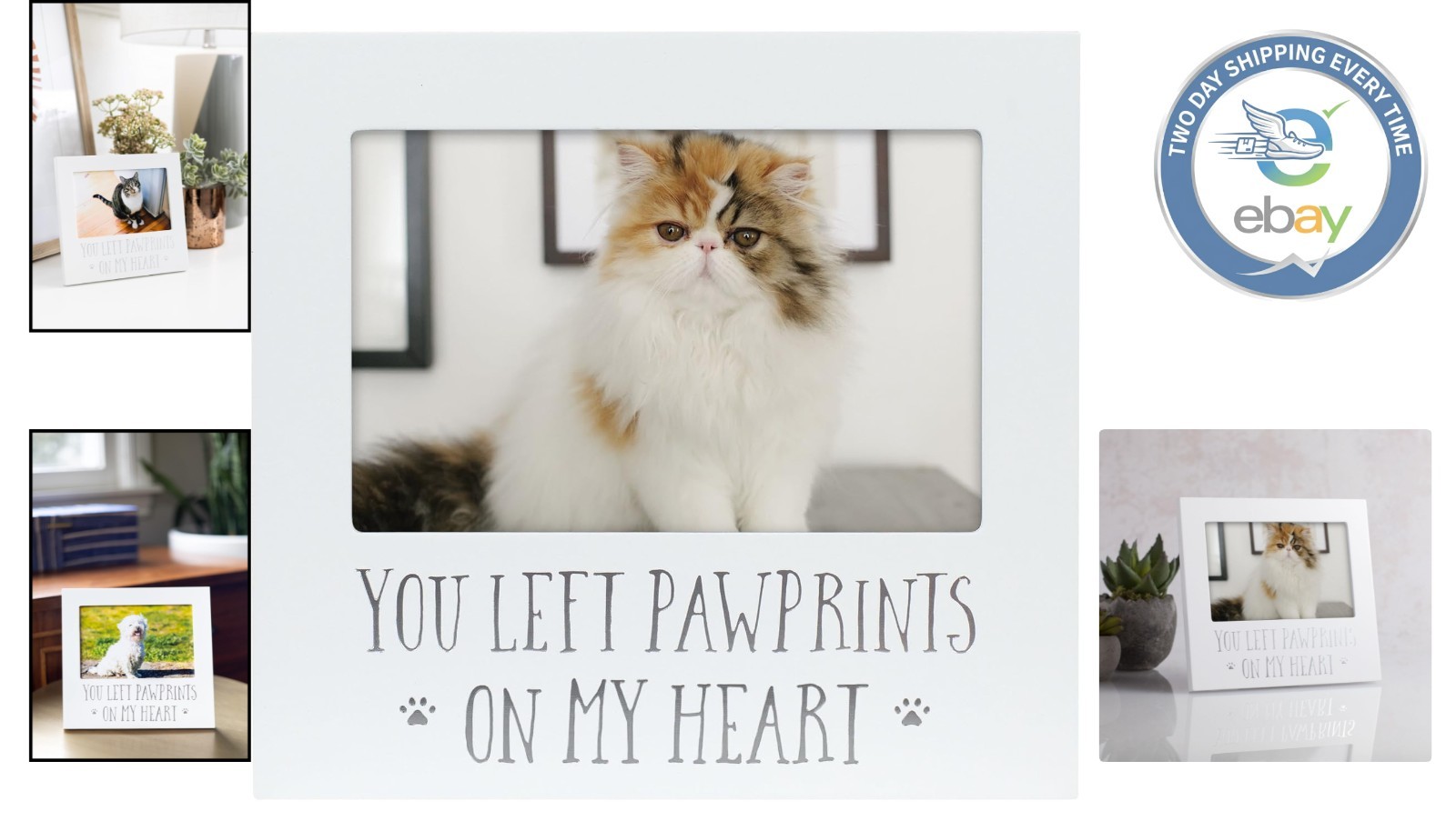 Timeless 4×6 Pet Memorial Picture Frame – A Heartfelt Tribute to Lost Companions