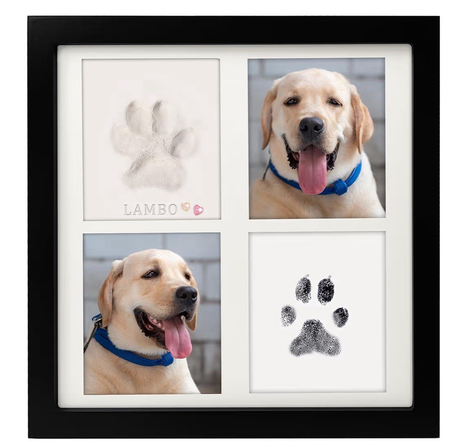 Ink & Clay Paw Print Kit for Dog Cat,Clean-Touch Ink Pad & Soft Clay,Pet Paw …